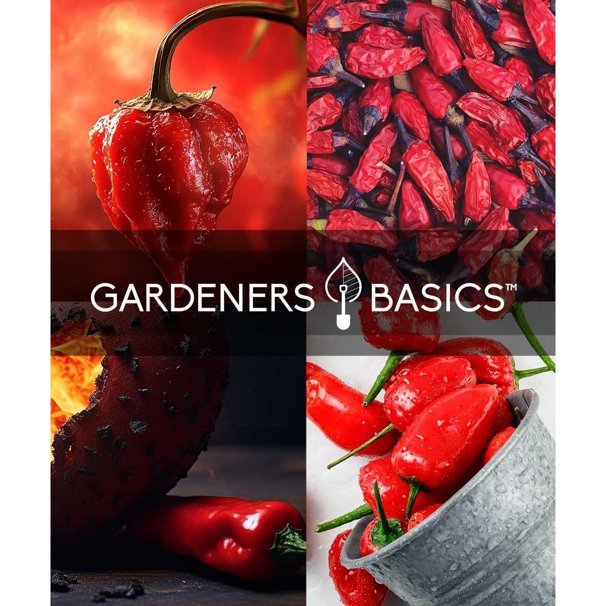 Kit de Cultivo de Semillas de Pimiento Fantasma Gardeners Basics - Incluye Macetas y Discos de Suelo