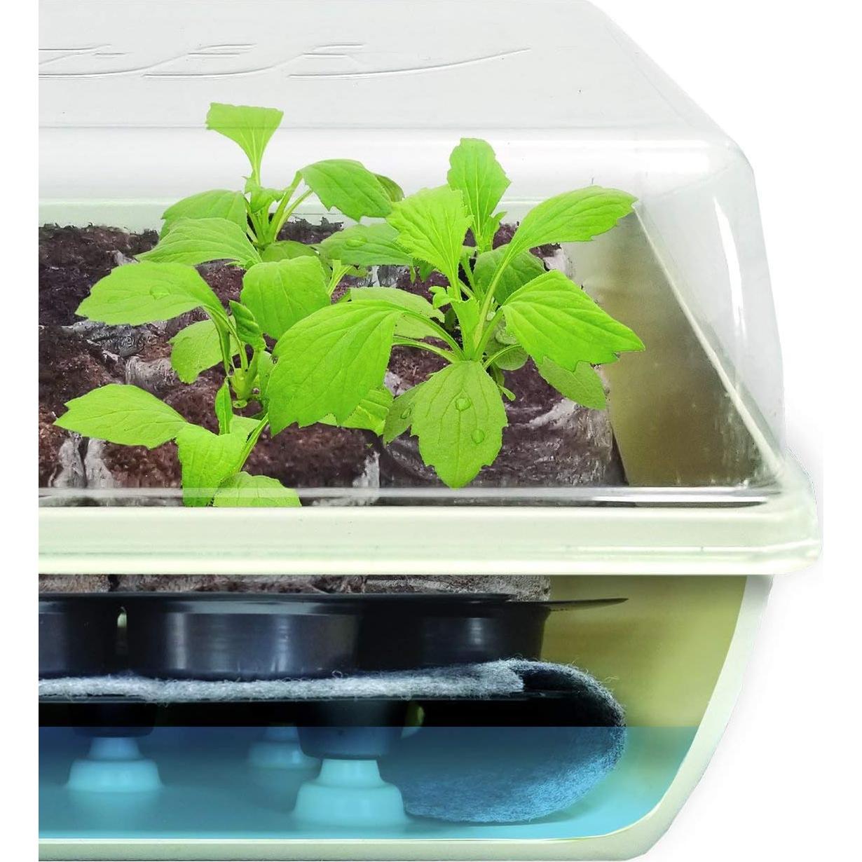 Kit de Inicio de Semillas Jiffy - 2 Bandejas 34 Celdas 68 Pellets