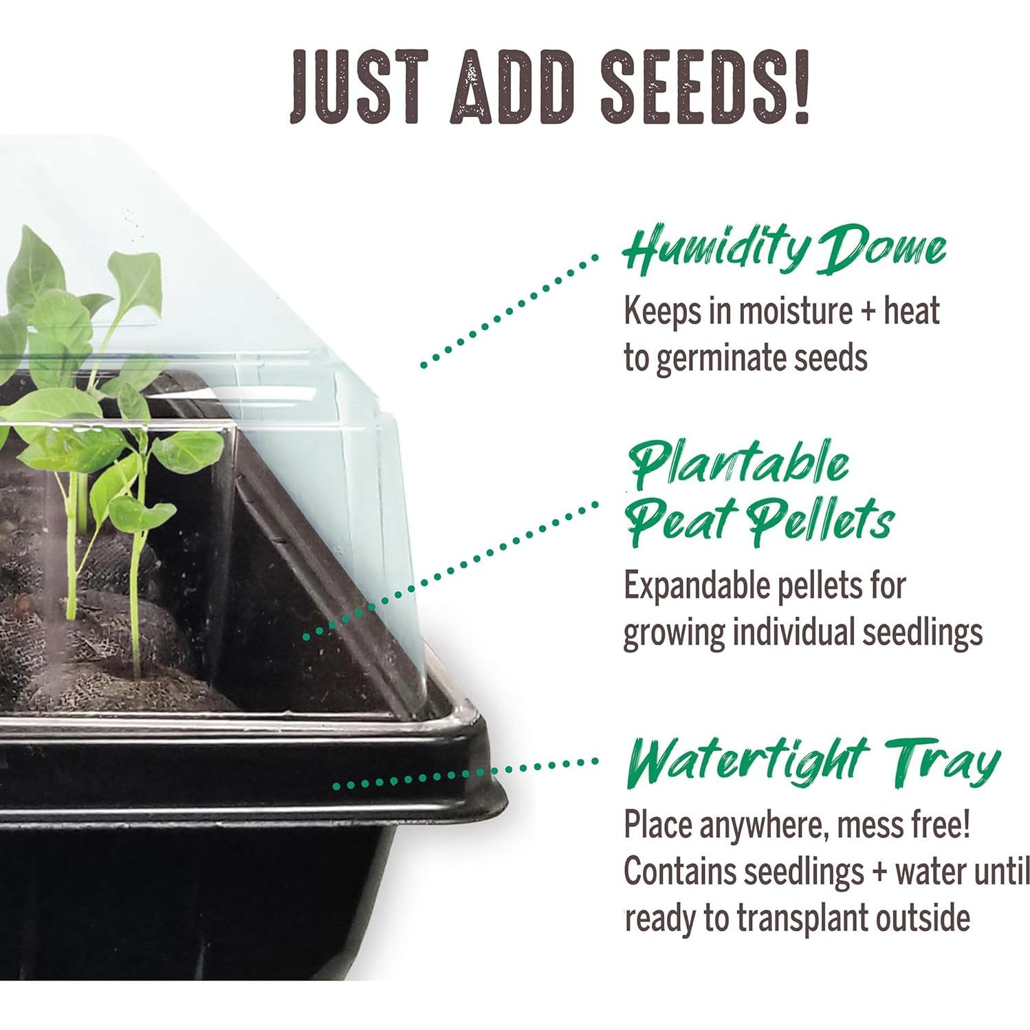 Kit de Inicio de Semillas Jiffy - 2 Bandejas 34 Celdas 68 Pellets