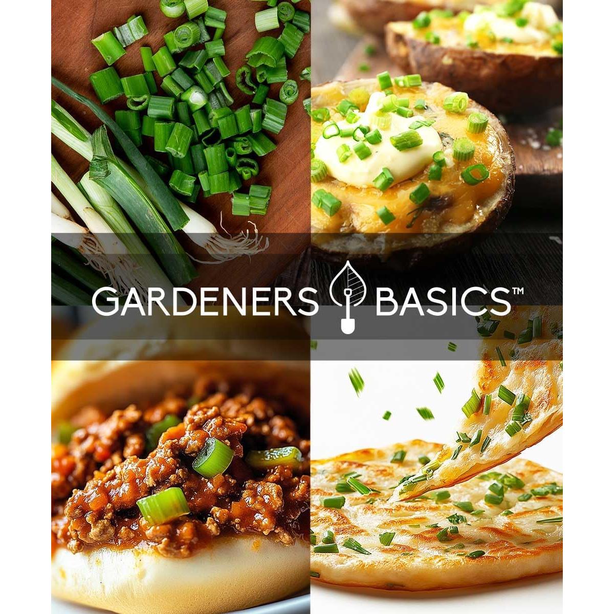 Kit de Inicio Semillas Cebolla Verde Bunching Gardeners Basics