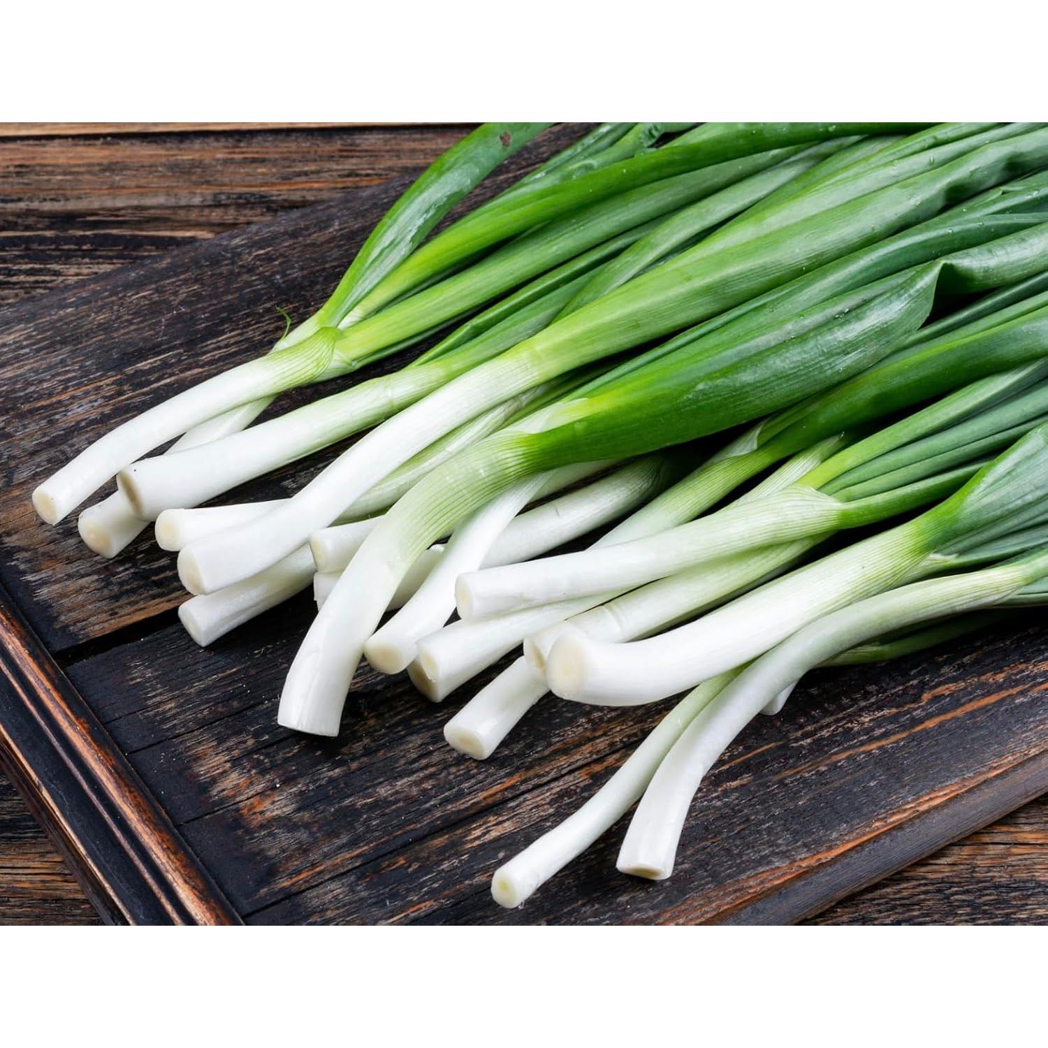 Kit de Inicio Semillas Cebolla Verde Bunching Gardeners Basics
