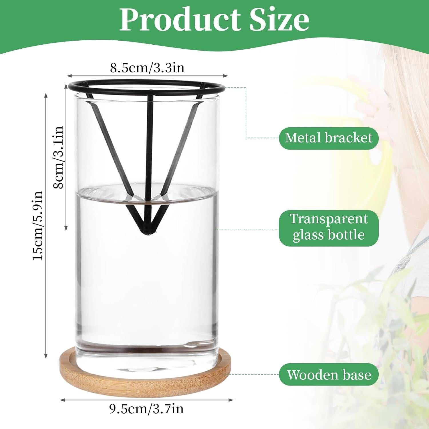 Kit de Germinación de Aguacate Mowouhn con Jarrón de Vidrio