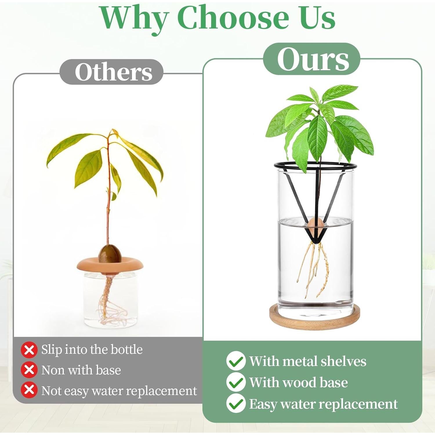 Kit de Germinación de Aguacate Mowouhn con Jarrón de Vidrio