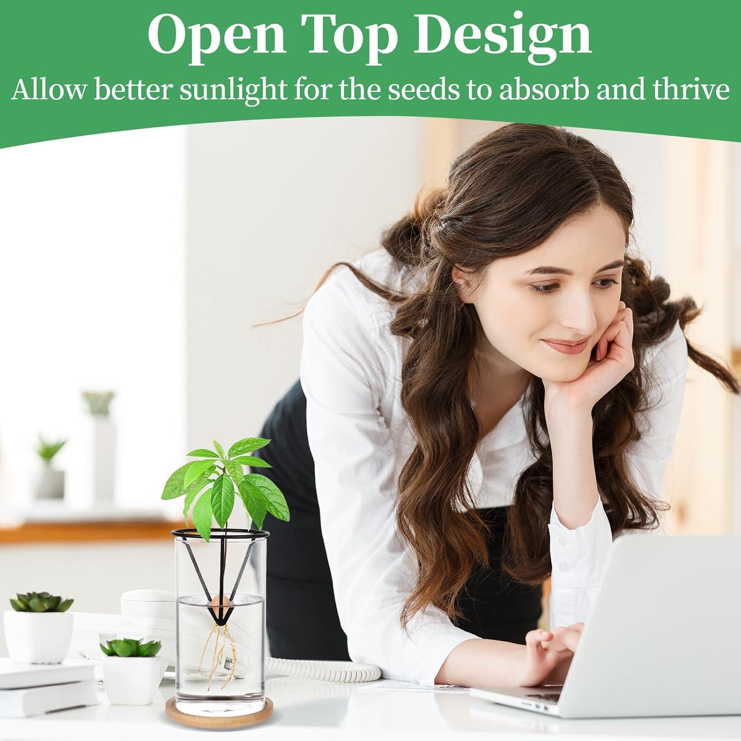 Kit de Germinación de Aguacate Mowouhn con Jarrón de Vidrio