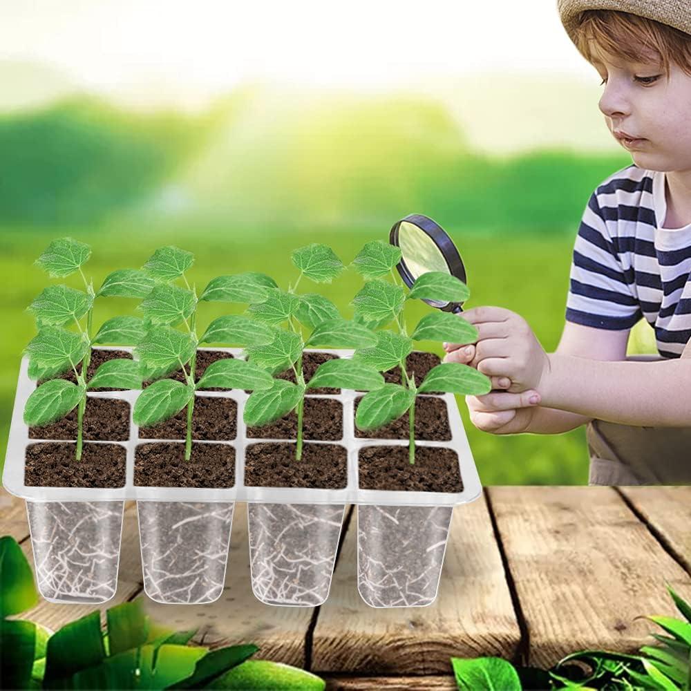 Bandeja para Semillas VANLAN 12 Celdas Verde con Tapa