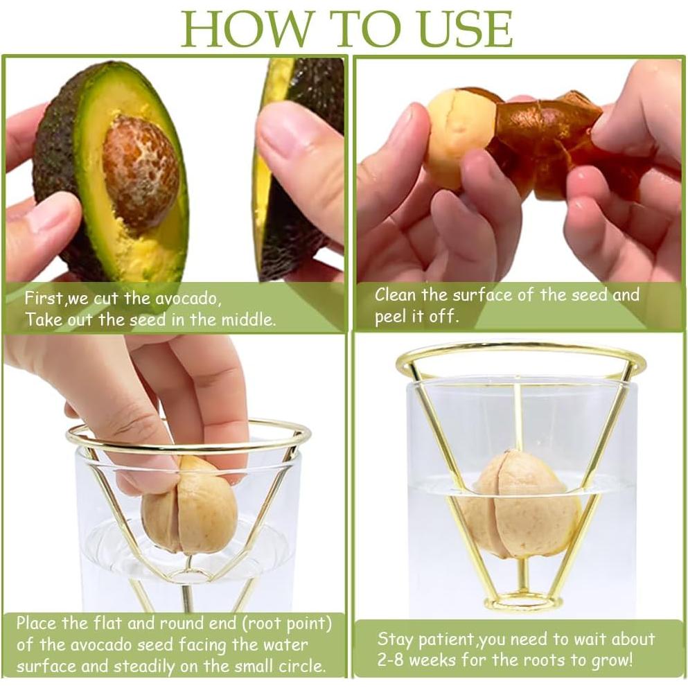 Jarrón de Aguacate YjiaYjiaY con Luz LED Multicolor y Soporte