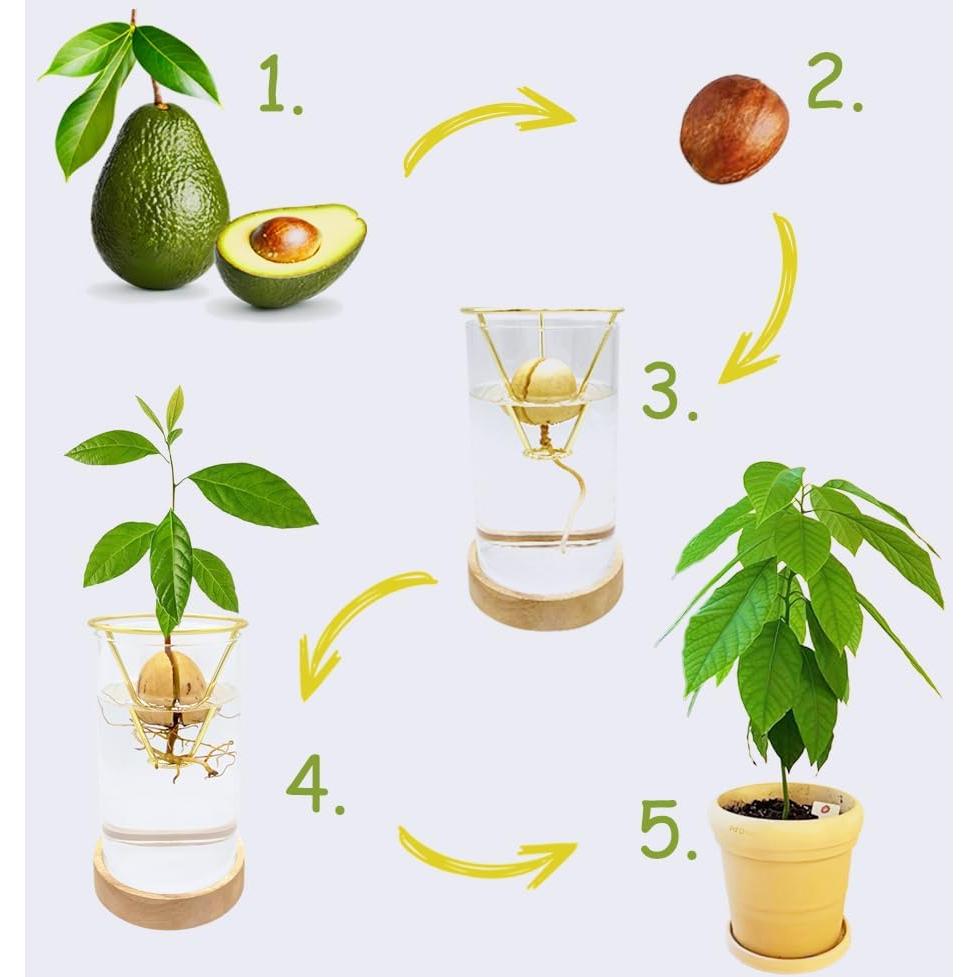 Jarrón de Aguacate YjiaYjiaY con Luz LED Multicolor y Soporte