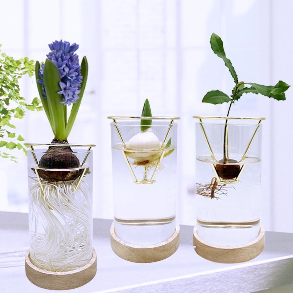 Jarrón de Aguacate YjiaYjiaY con Luz LED Multicolor y Soporte