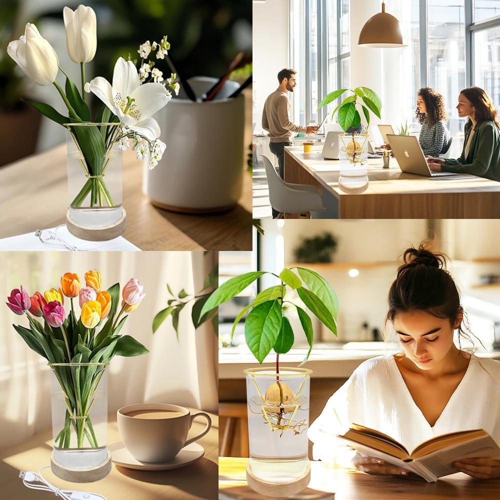 Jarrón de Aguacate YjiaYjiaY con Luz LED Multicolor y Soporte