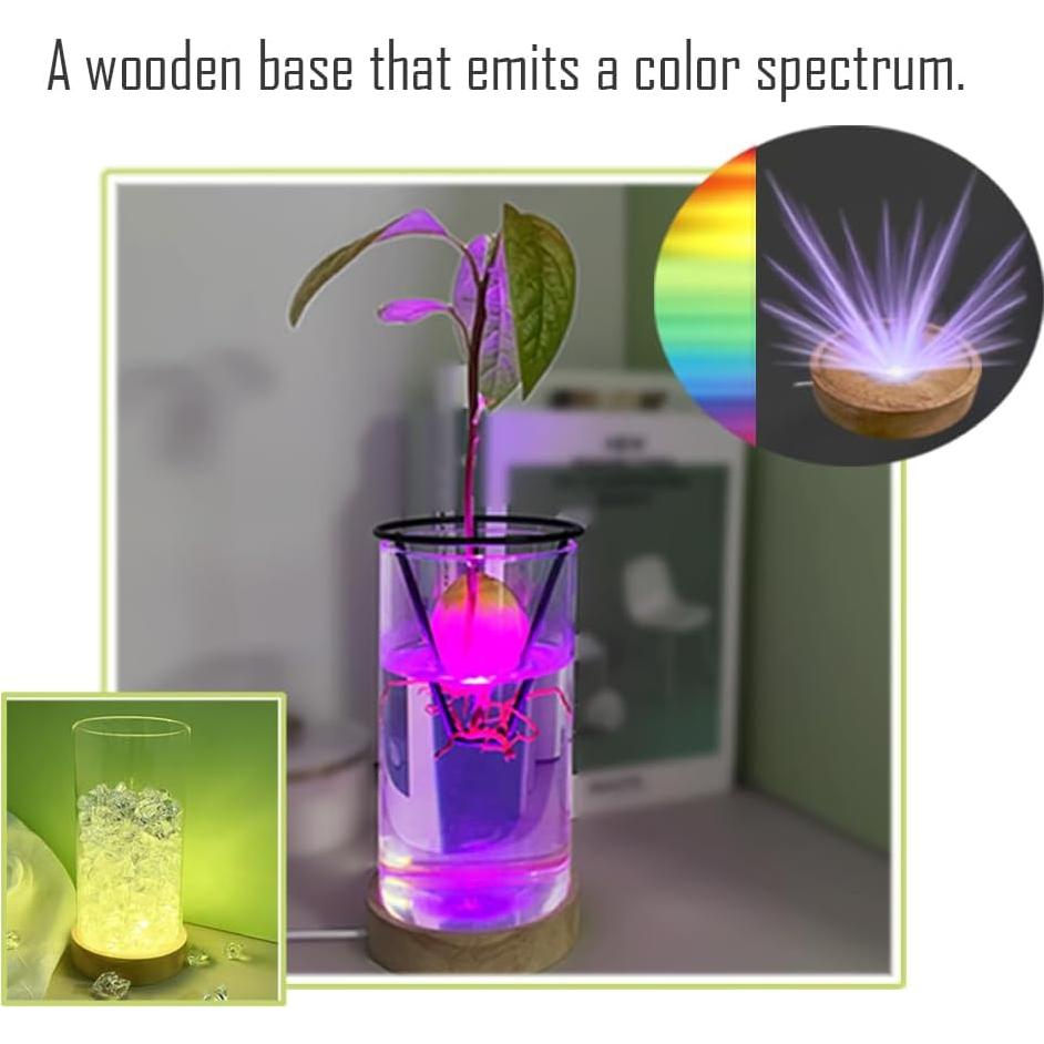 Jarrón de Aguacate YjiaYjiaY con Luz LED Multicolor y Soporte