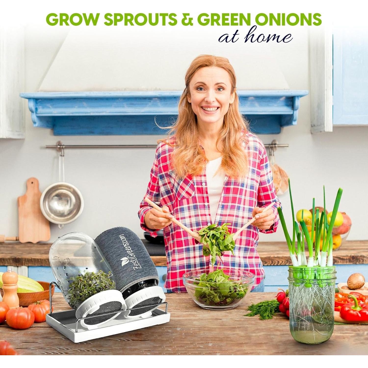 Kit de Cultivo de Brotes Zestigreens con Regenerador de Cebolla Verde