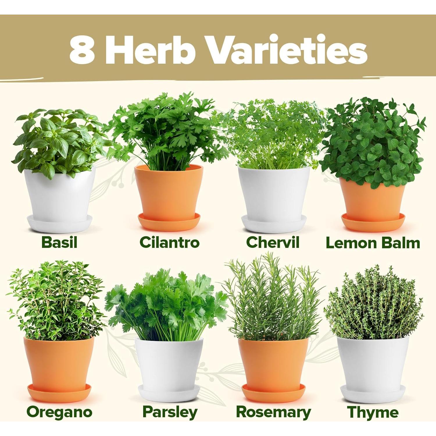 Kit de Jardín de Hierbas HOME GROWN - 8 Semillas Mixtas