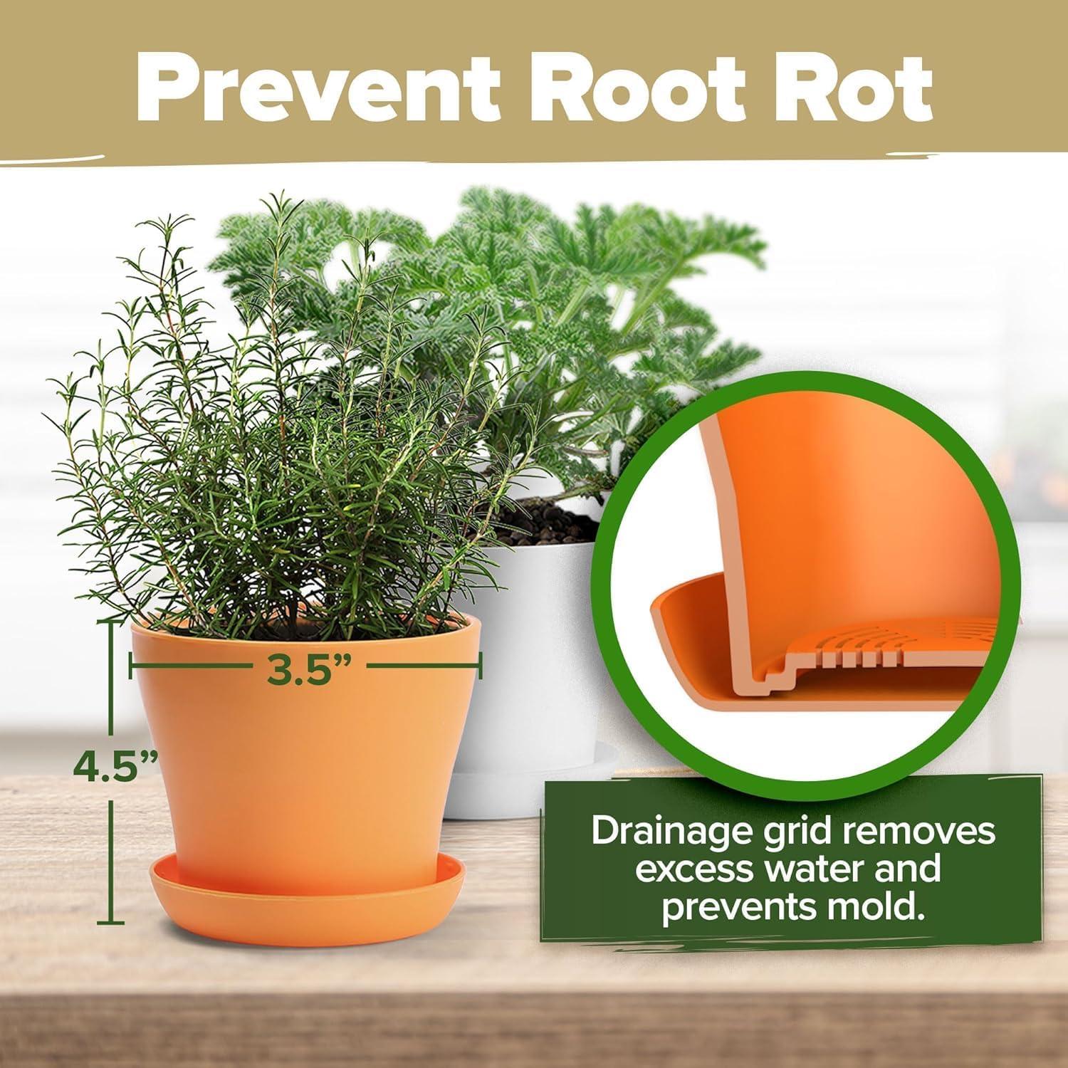 Kit de Jardín de Hierbas HOME GROWN - 8 Semillas Mixtas