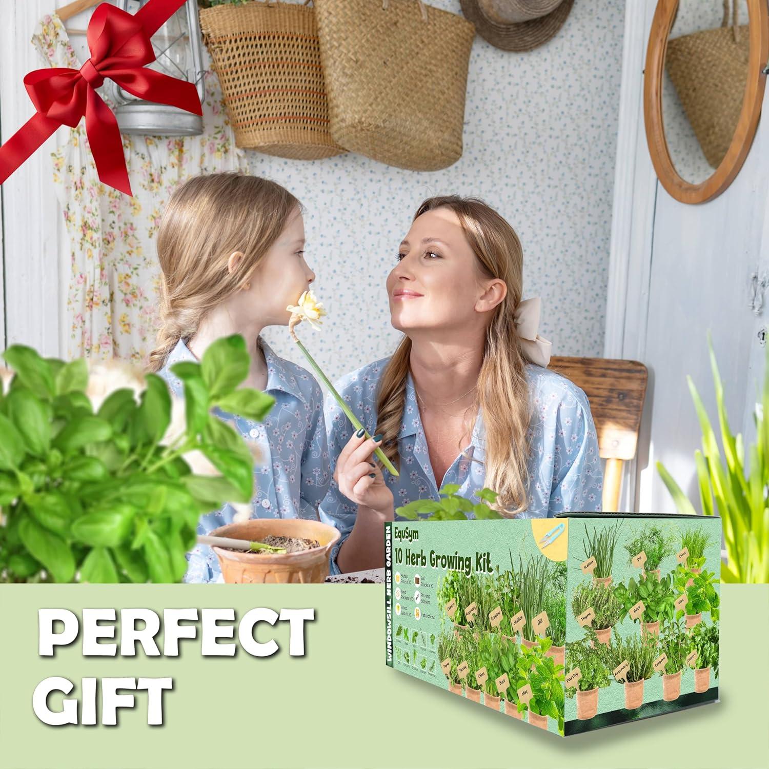 Kit de Jardín de 5 Hierbas Orgánicas EquSym - Albahaca, Menta, Tomillo