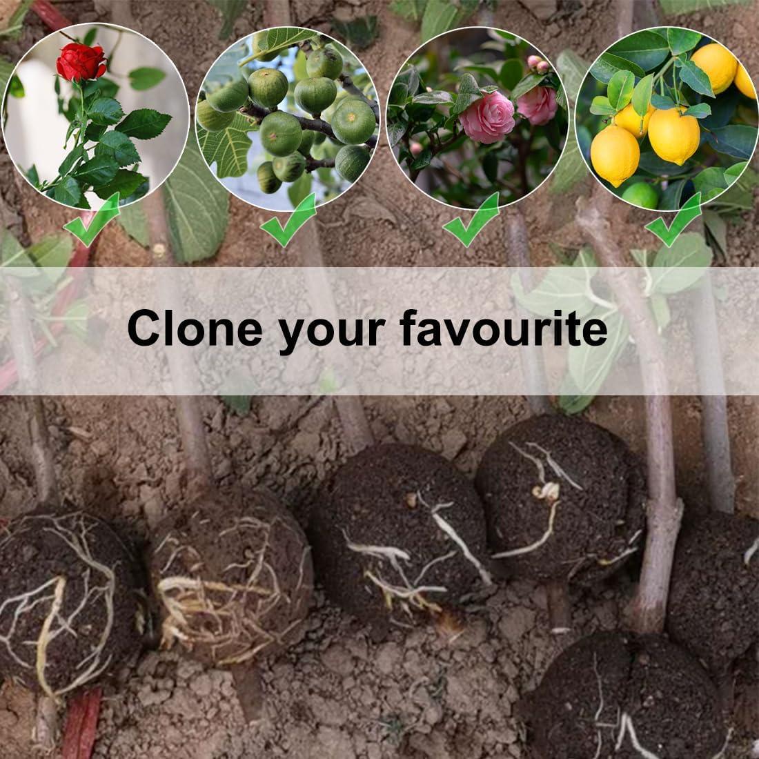 Kit de Propagación de Plantas MIIIM 10 PCS Mediano