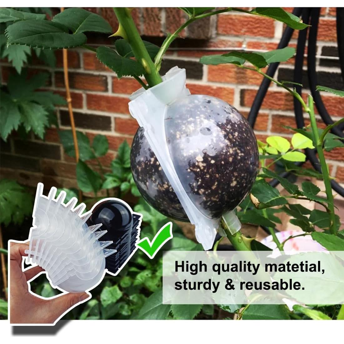 Kit de Propagación de Plantas MIIIM 10 PCS Mediano