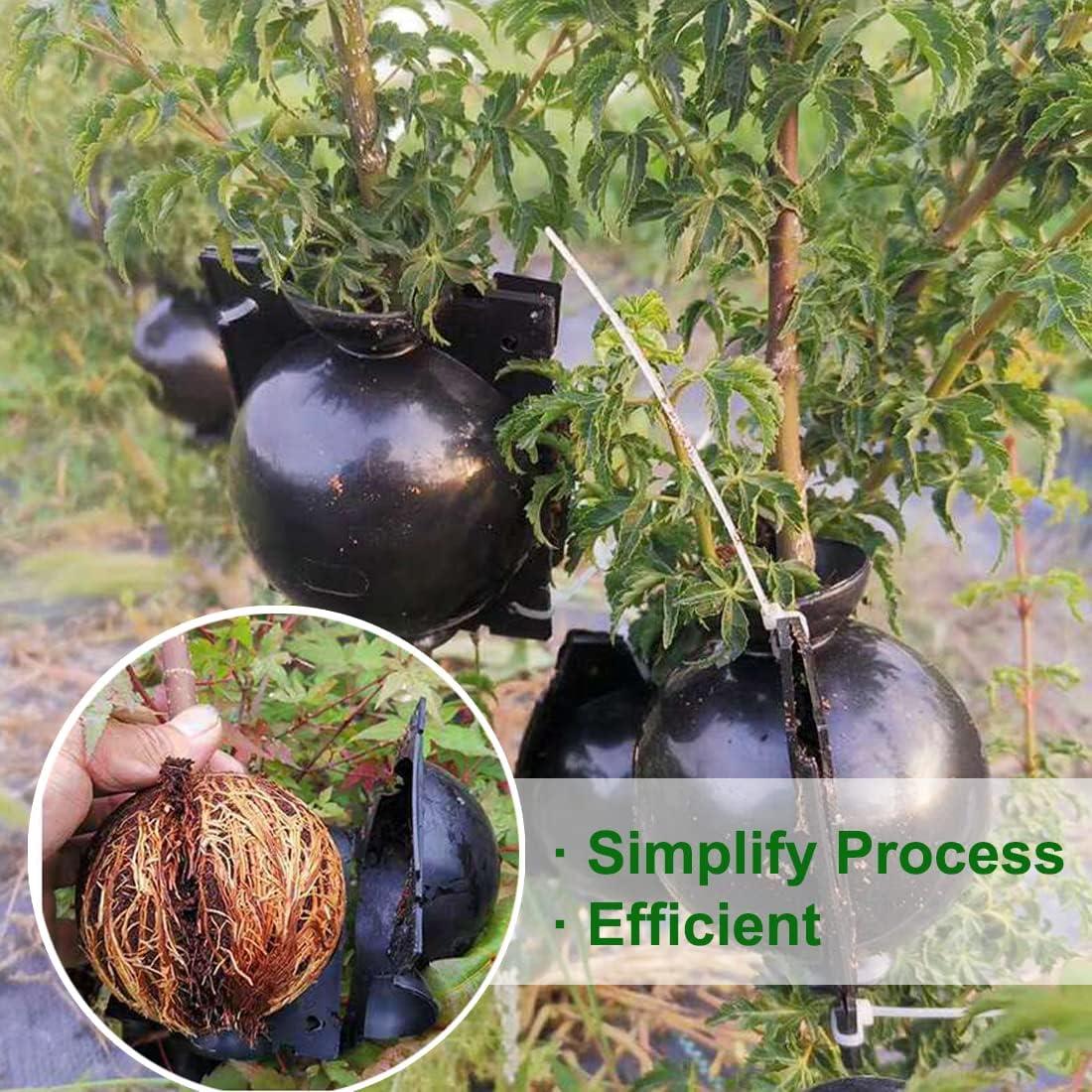 Kit de Propagación de Plantas MIIIM 10 PCS Mediano