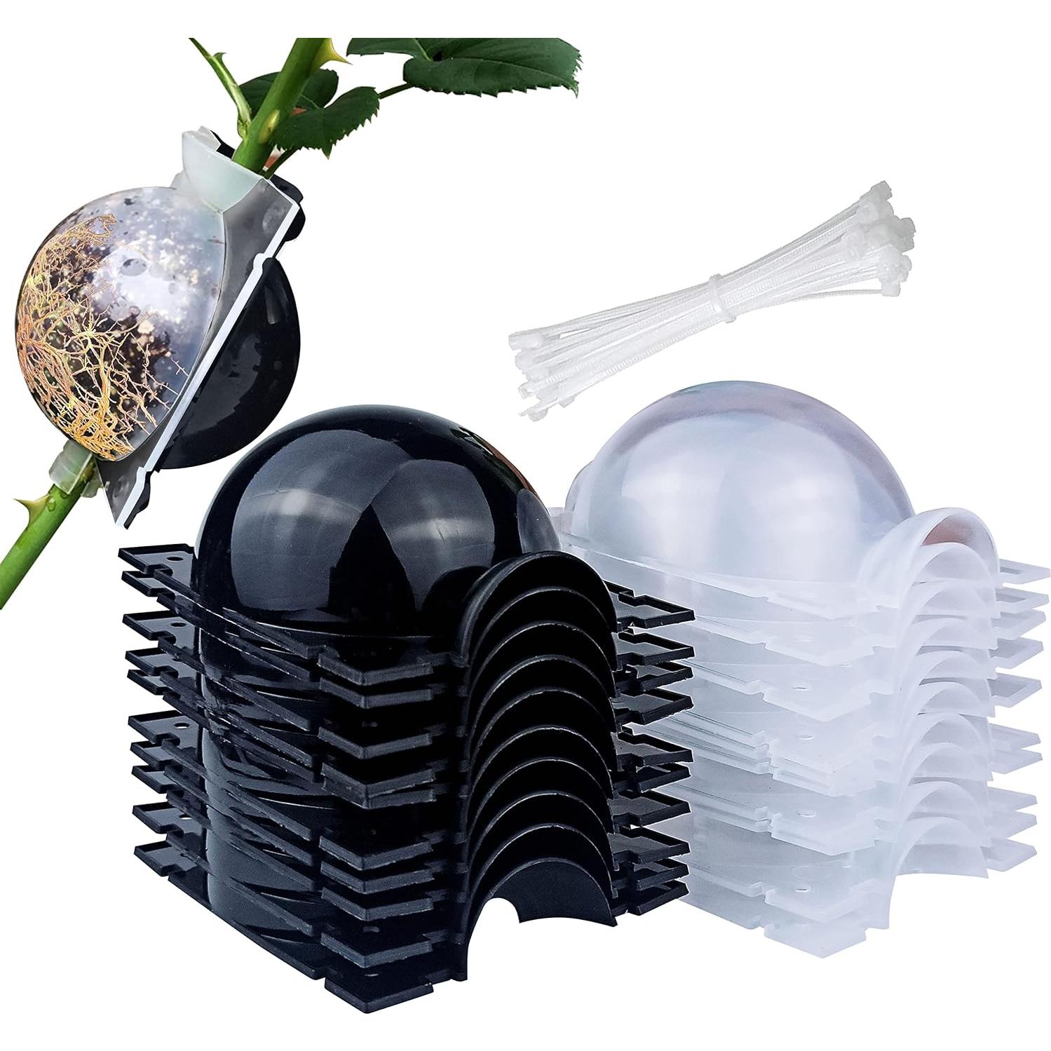 Kit de Propagación de Plantas MIIIM 10 PCS Mediano