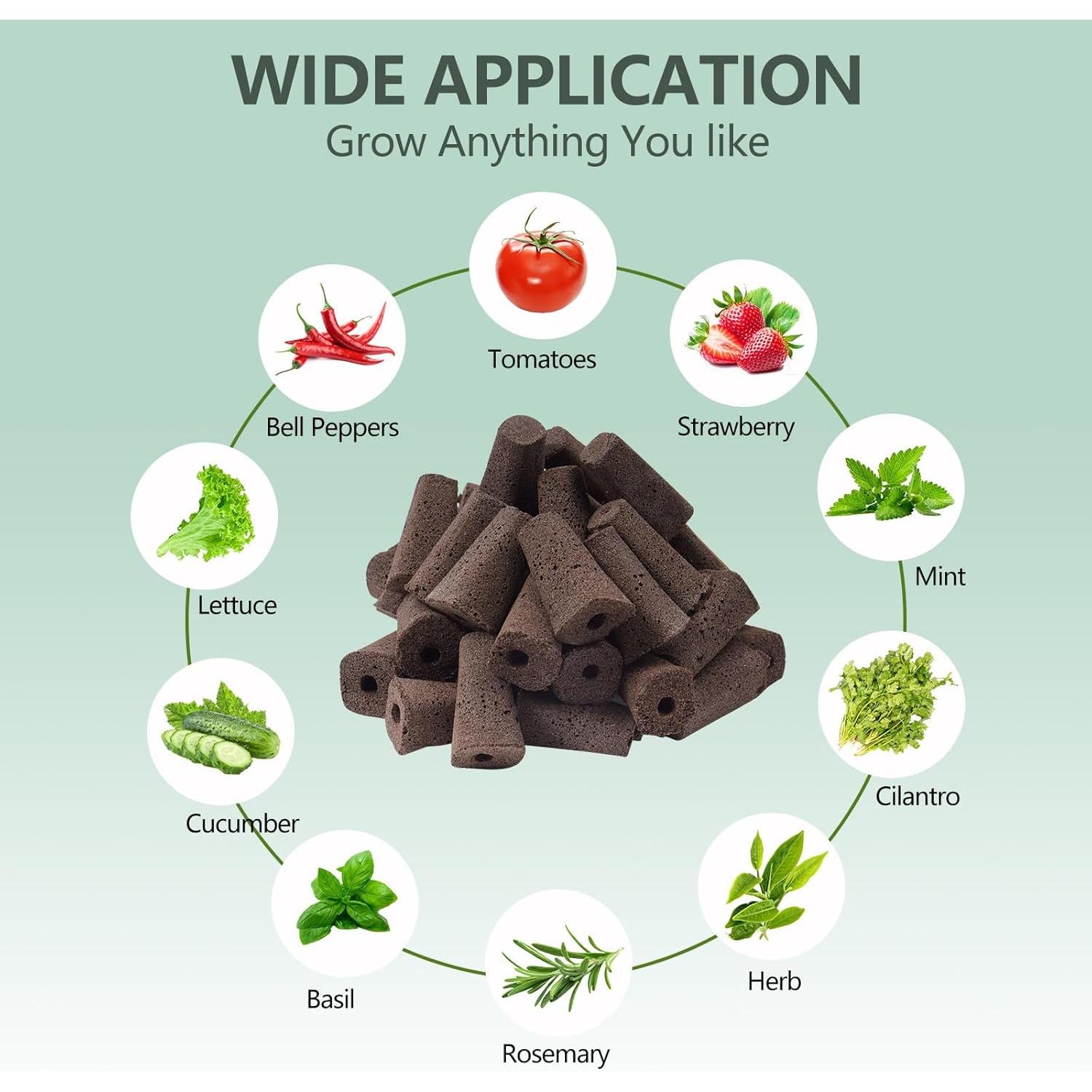 Kit de Cápsulas de Semillas Hidropónicas YBB - 30 Esponjas, Cestas y Domos
