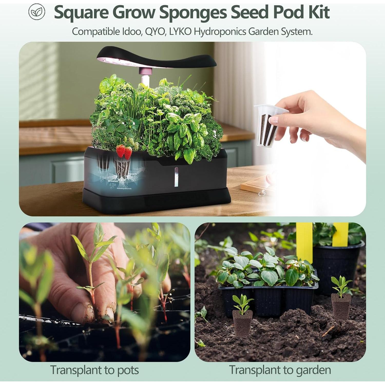 Kit de Cápsulas de Semillas Hidropónicas YBB - 30 Esponjas, Cestas y Domos