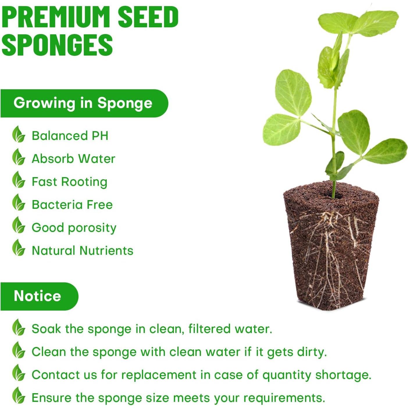 Esponjas de Crecimiento Hidropónico LAPOND - Paquete de 100 Unidades