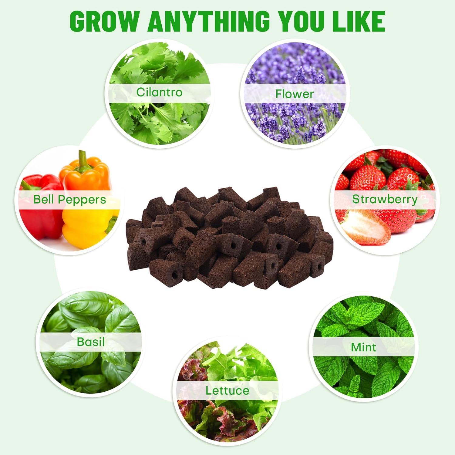 Esponjas de Crecimiento Hidropónico LAPOND - Paquete de 100 Unidades