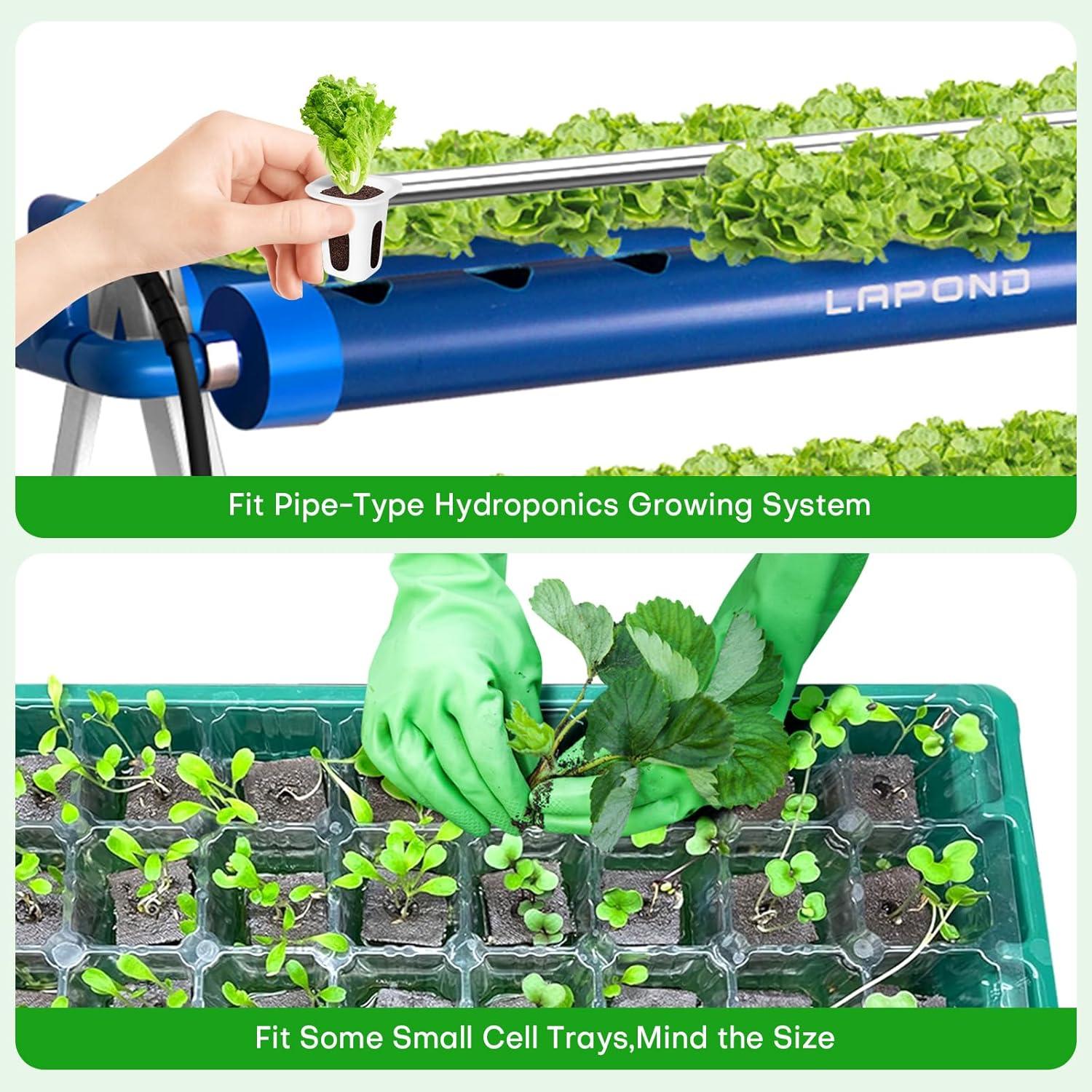 Esponjas de Crecimiento Hidropónico LAPOND - Paquete de 100 Unidades