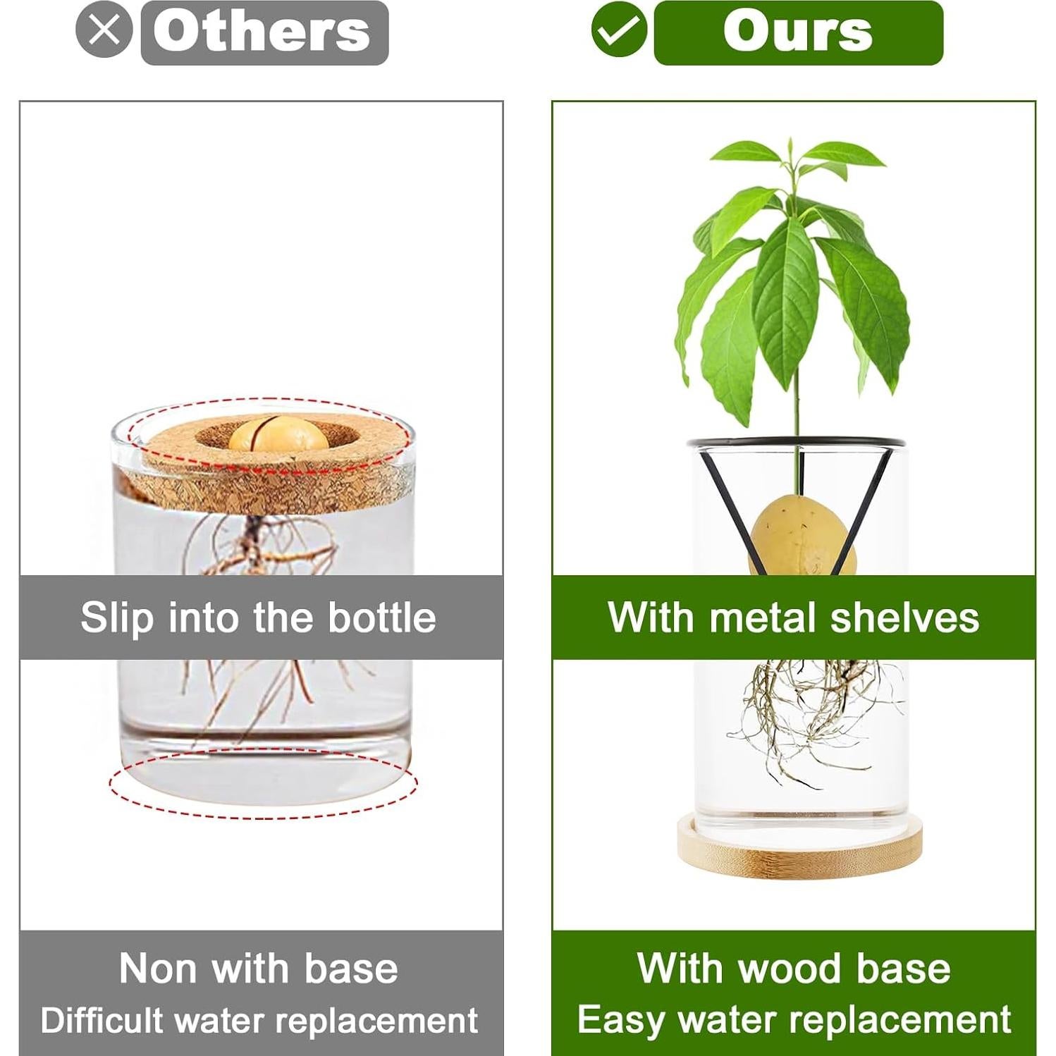 Kit de Crecimiento de Árbol de Aguacate Uprony 2PCS Jarrón Vidrio