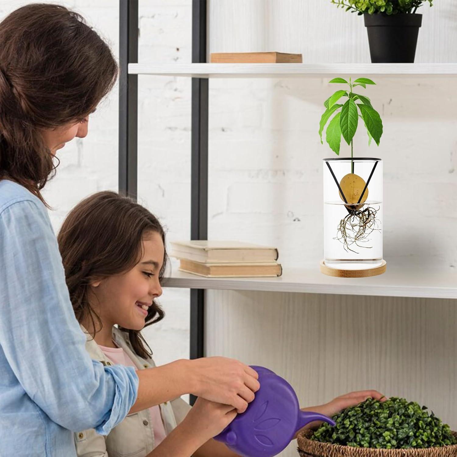 Kit de Crecimiento de Árbol de Aguacate Uprony 2PCS Jarrón Vidrio