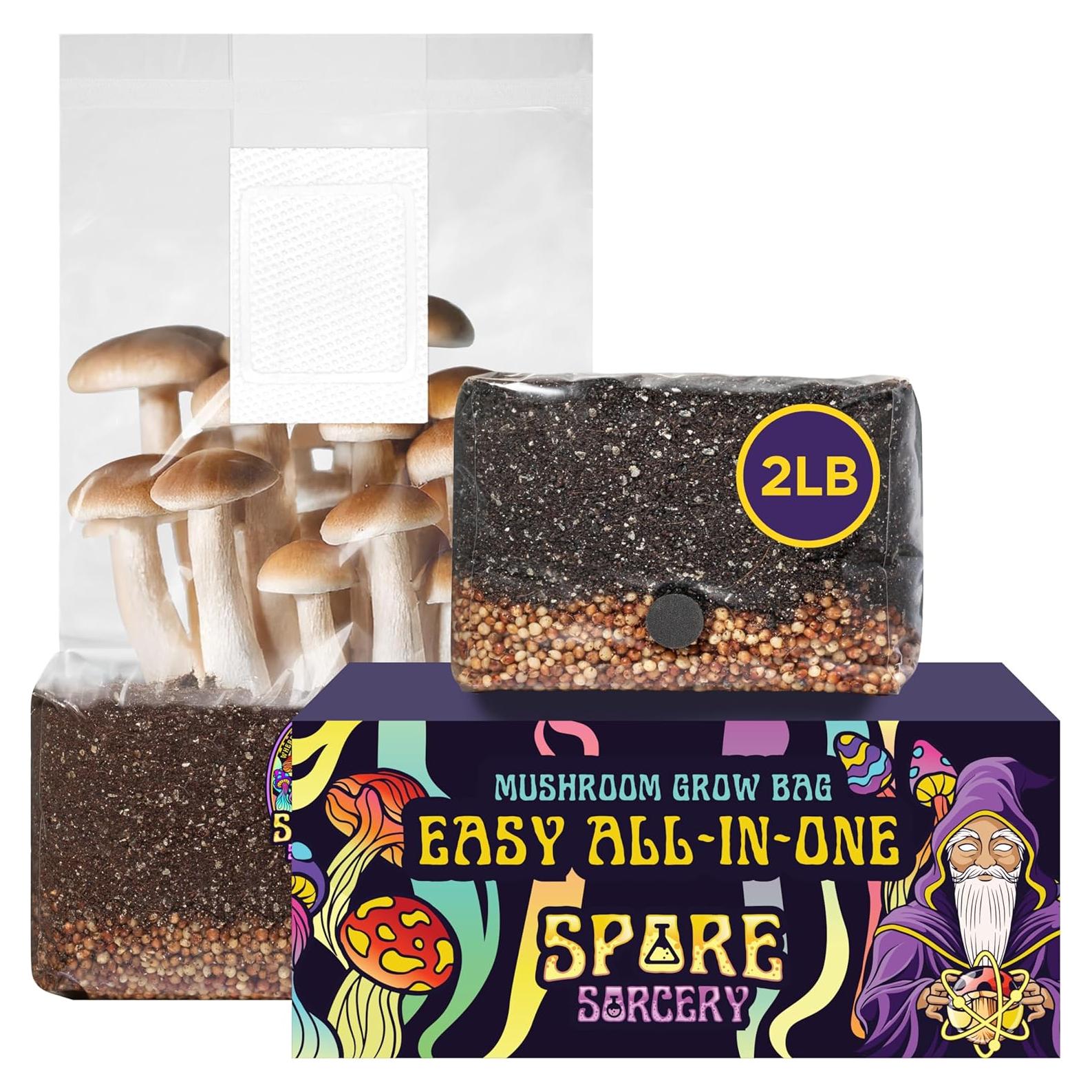 Kit de Cultivo de Champiñones 2 LB Spore Sorcery - Nutrientes Incluidos