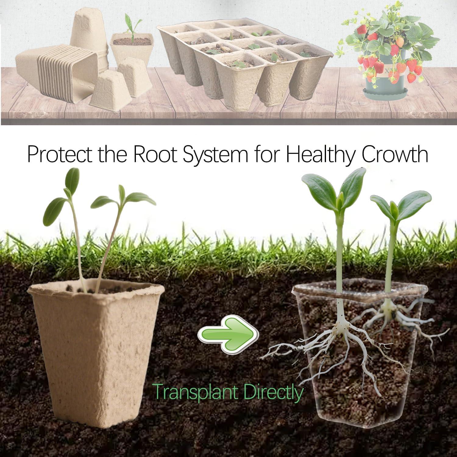 Kit de Macetas de Turba BEIGEMEI 120 Piezas Biodegradables