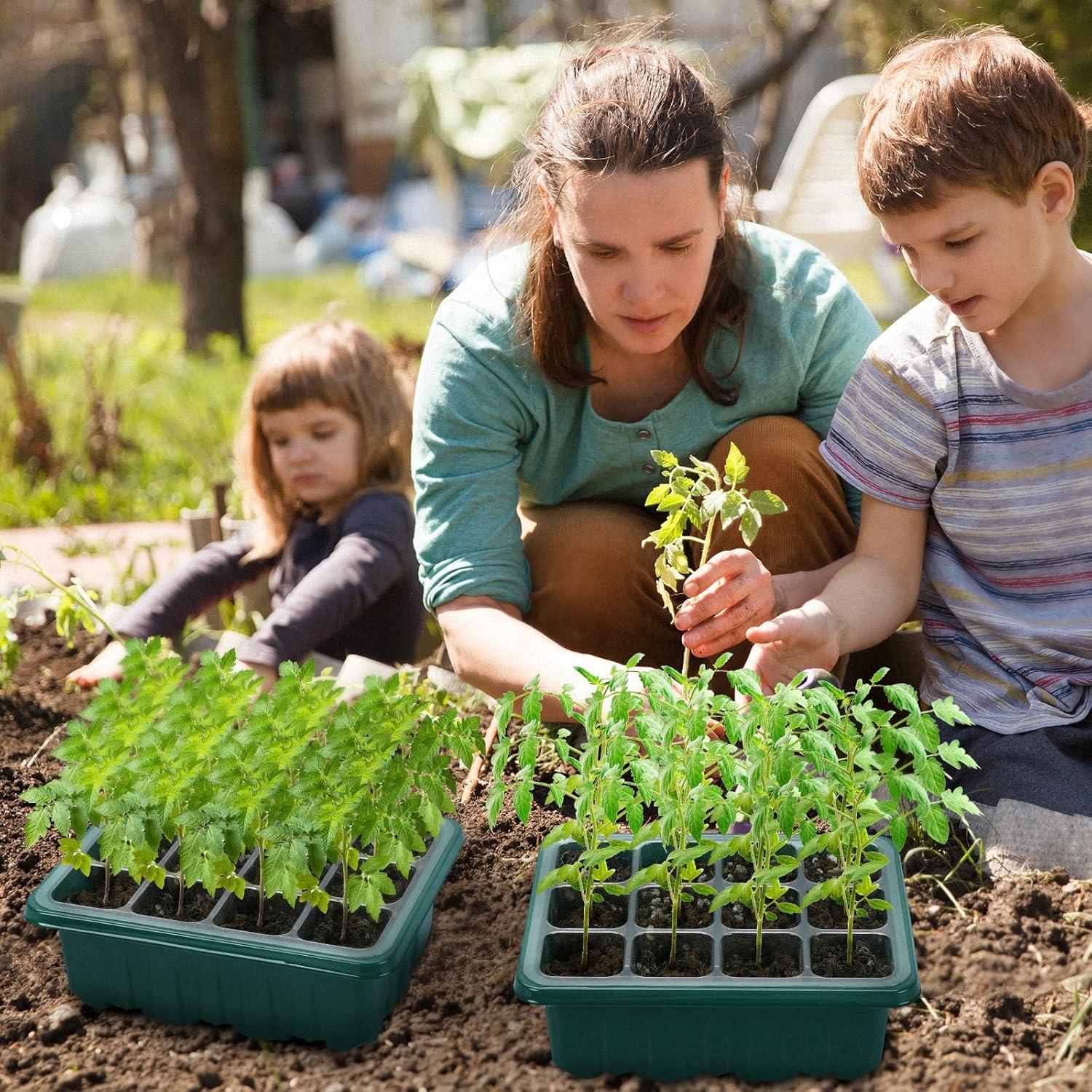 Kit de Germinación de Semillas Seedfactor 7 Paquetes con Luz