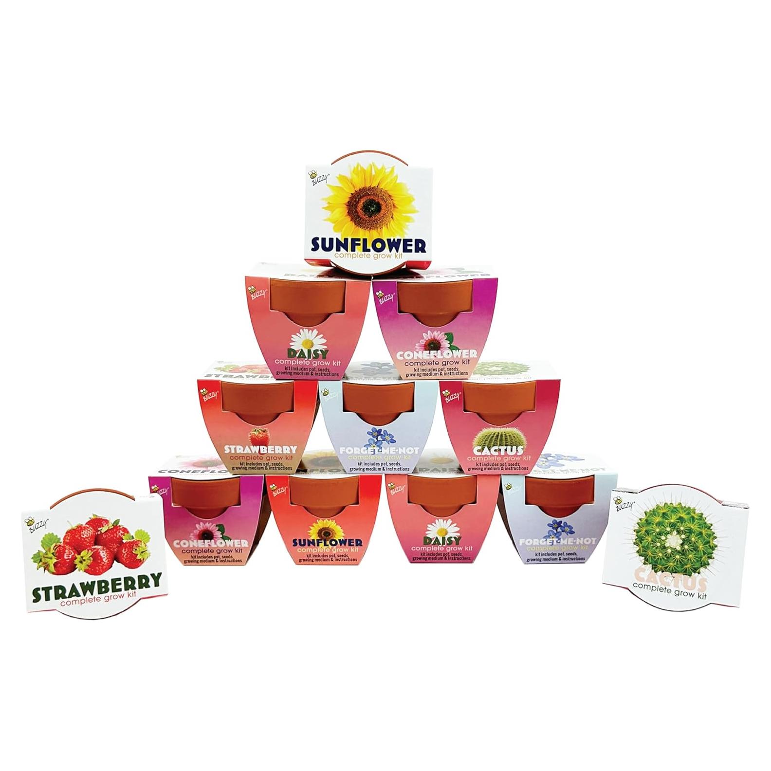 Macetas Mini de Terracota BUZZY - Kit de Inicio 12 Piezas