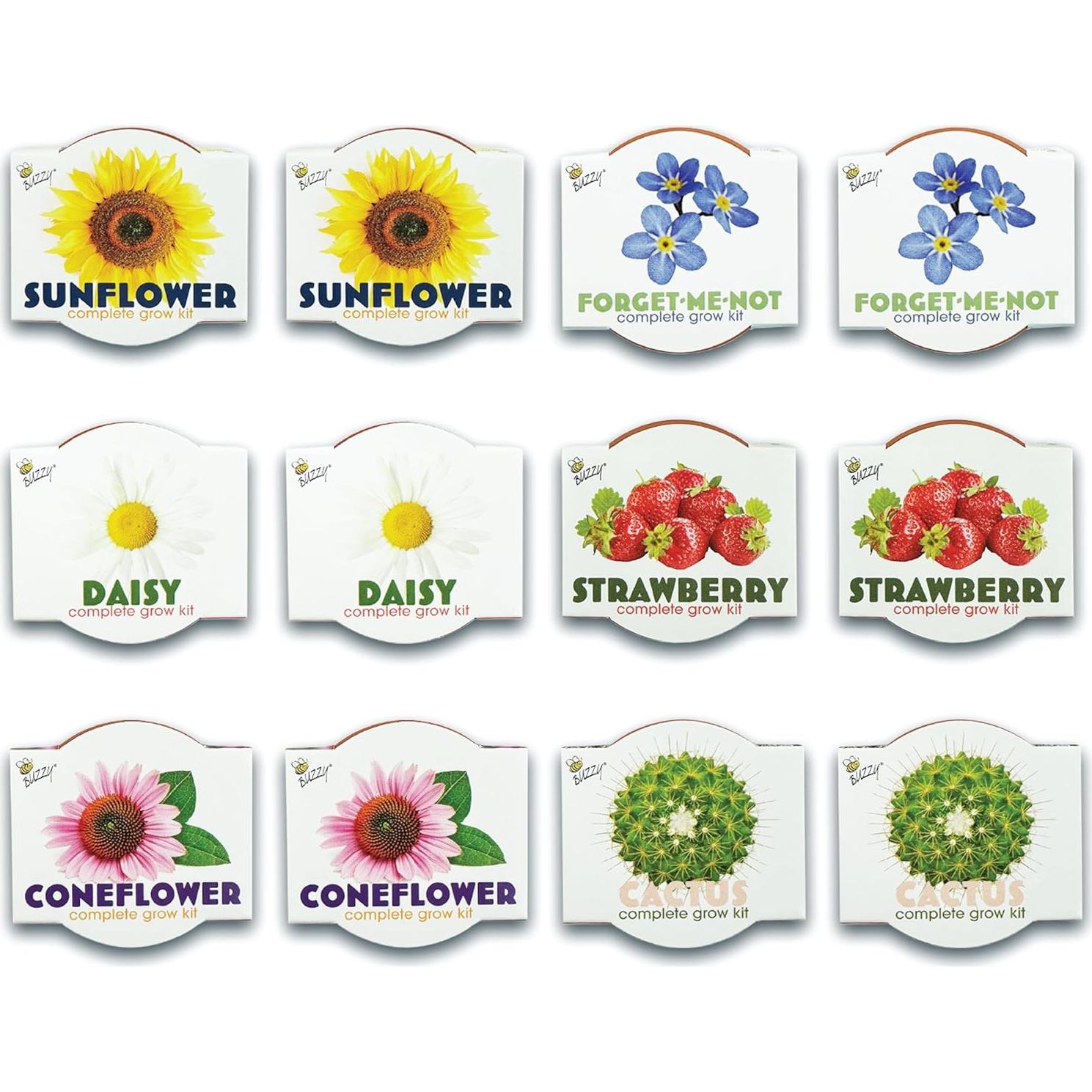 Macetas Mini de Terracota BUZZY - Kit de Inicio 12 Piezas