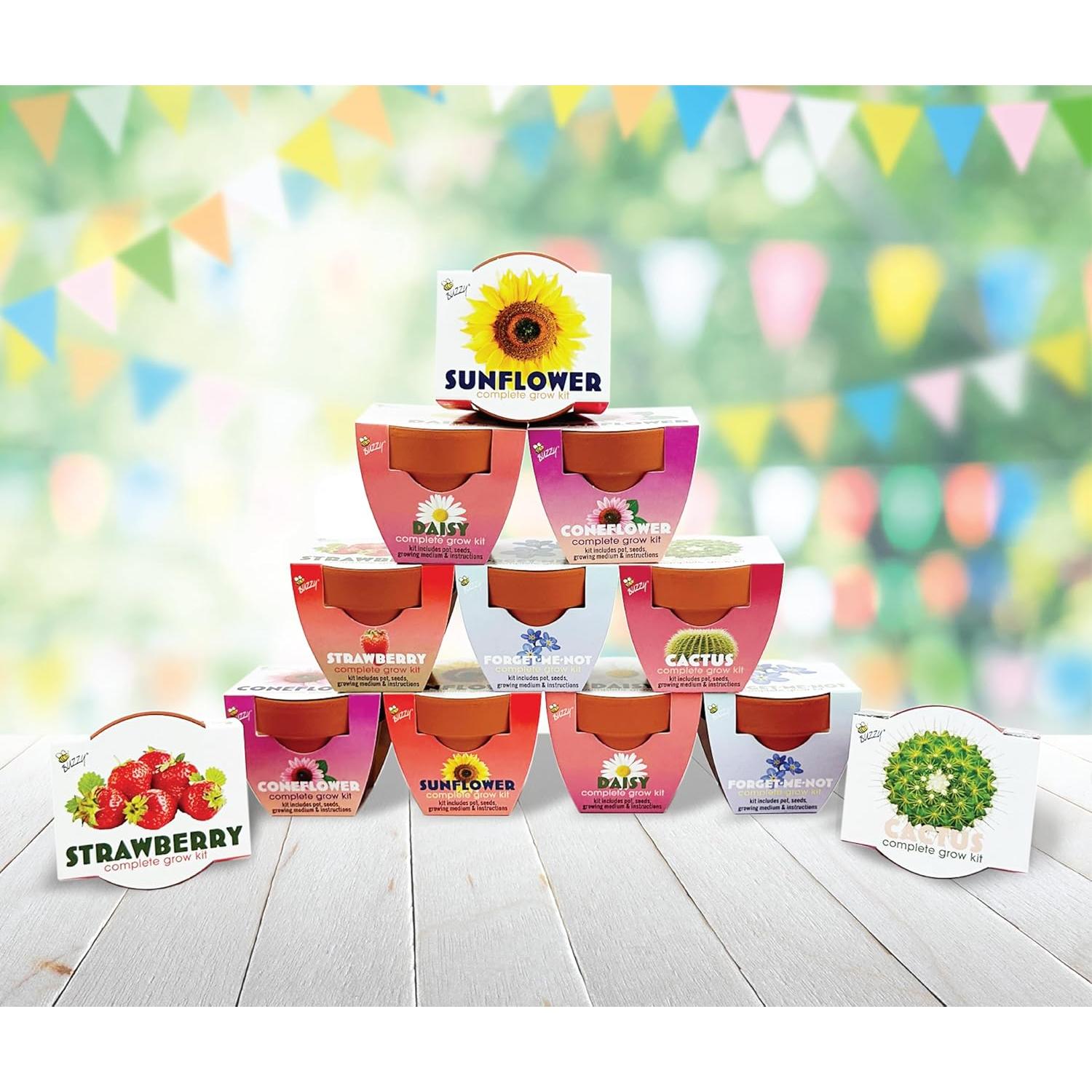 Macetas Mini de Terracota BUZZY - Kit de Inicio 12 Piezas