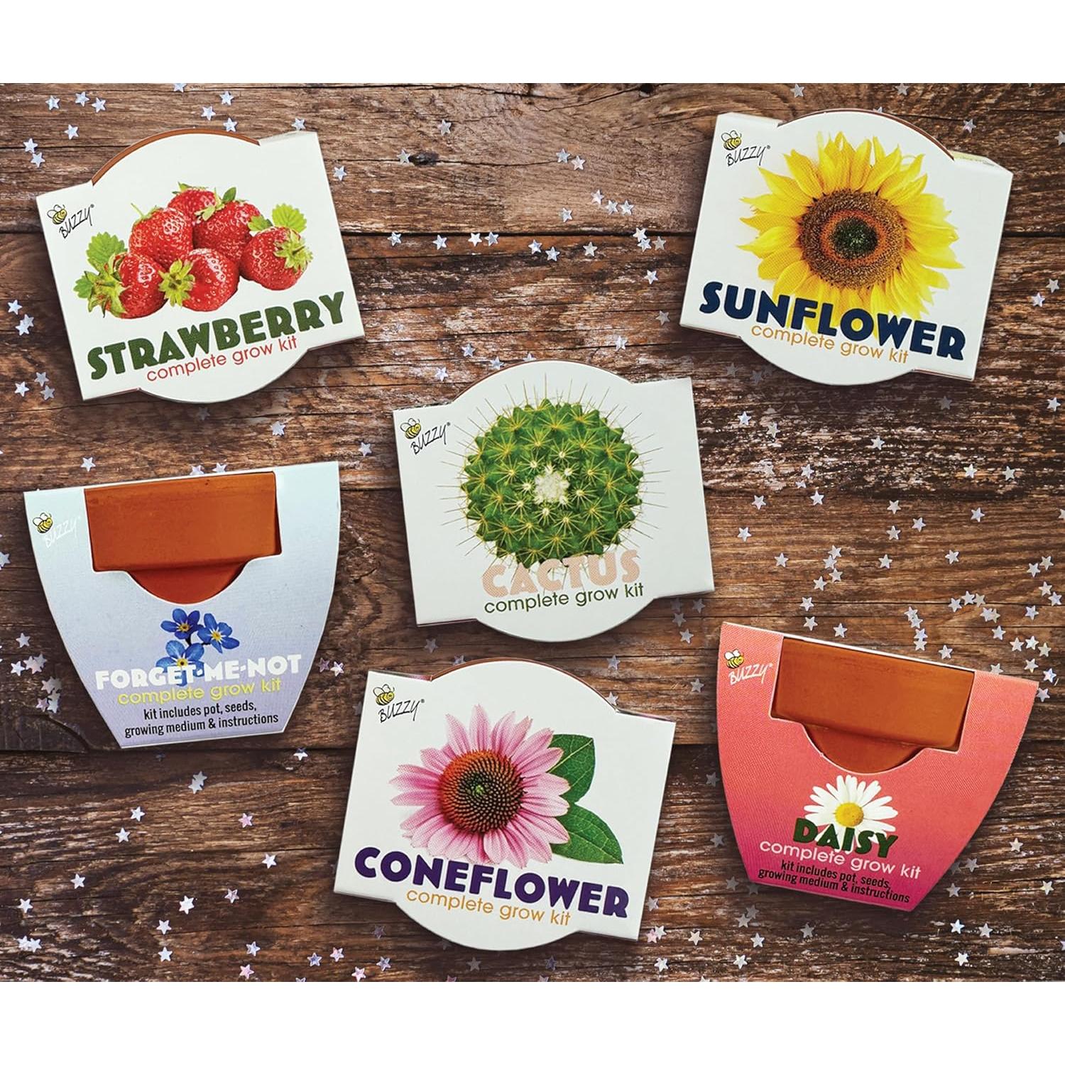 Macetas Mini de Terracota BUZZY - Kit de Inicio 12 Piezas