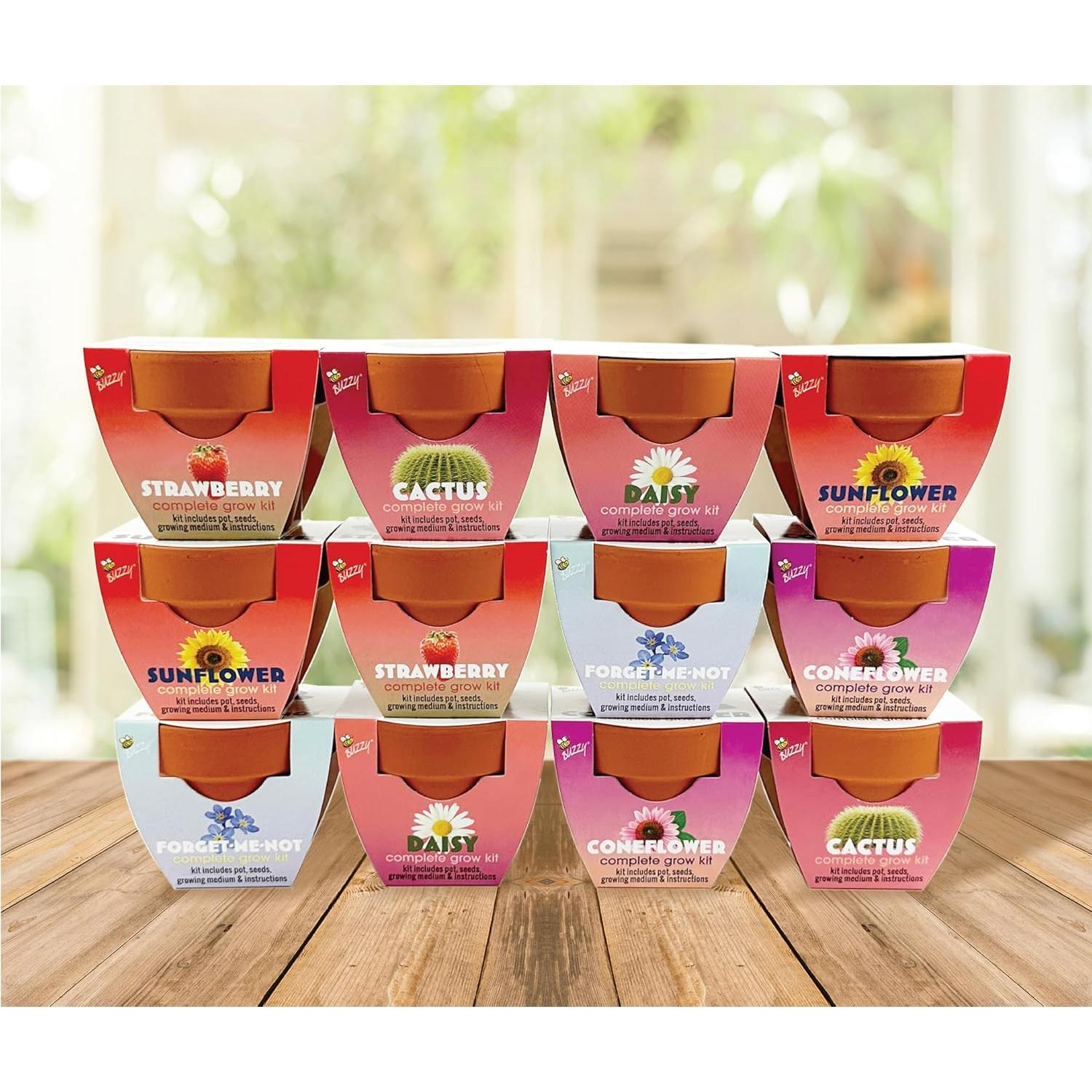 Macetas Mini de Terracota BUZZY - Kit de Inicio 12 Piezas