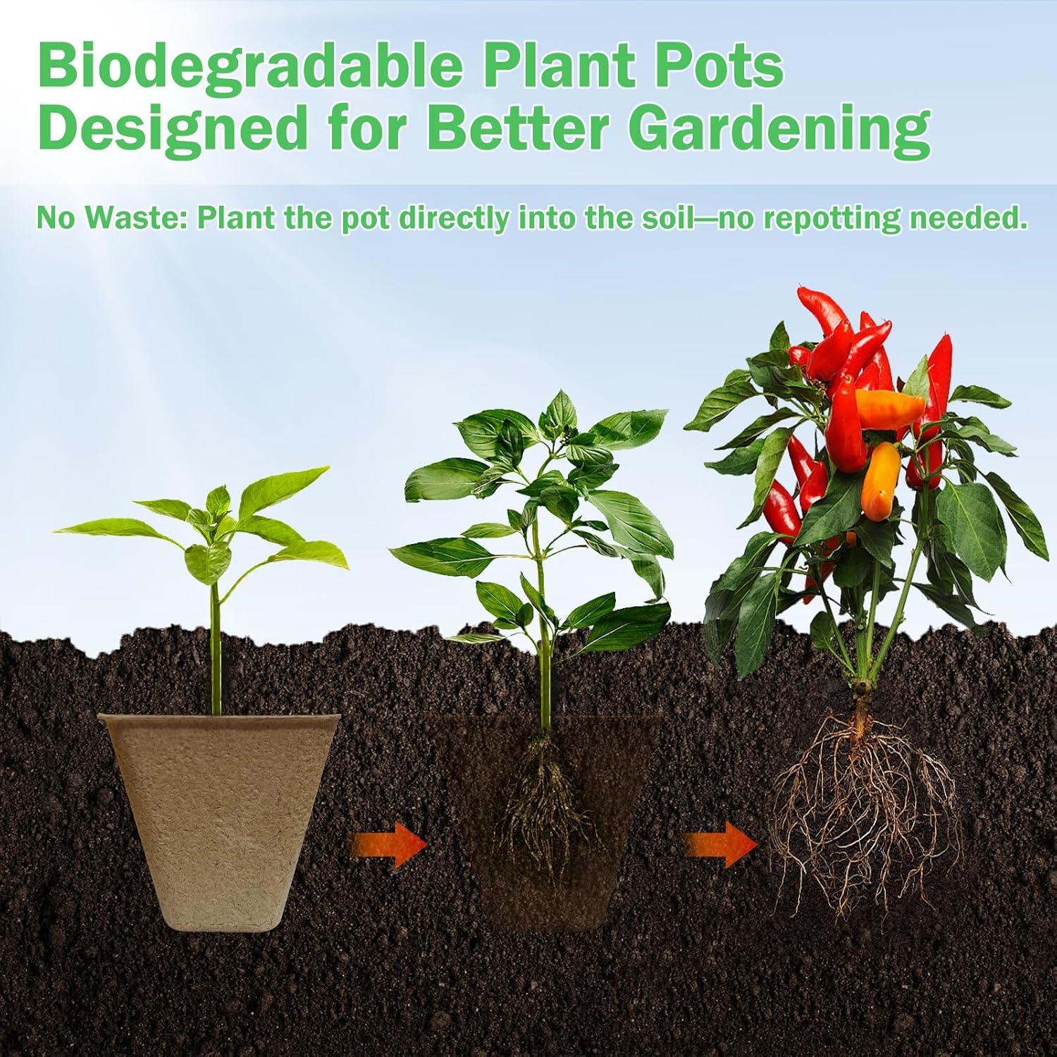 70 Macetas Biodegradables Cuadradas 8 cm Doubleggs para Jardín