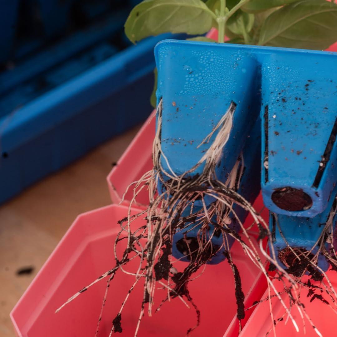 Kit de Inicio de Semillas Bootstrap Farmer Multicolor con Domos