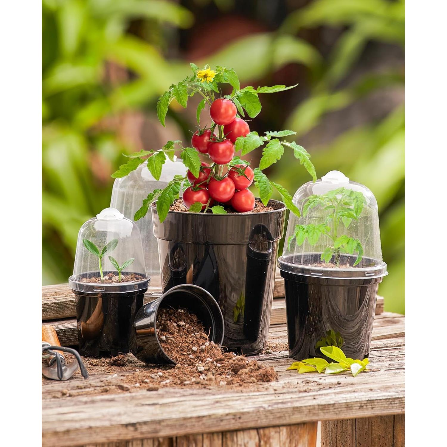 Macetas de Vivero Homenote 3/4/5 Pulgadas con Drenaje y Tapa