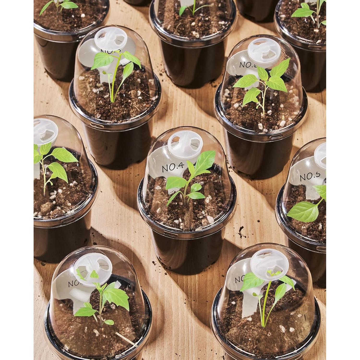 Macetas de Vivero Homenote 3/4/5 Pulgadas con Drenaje y Tapa