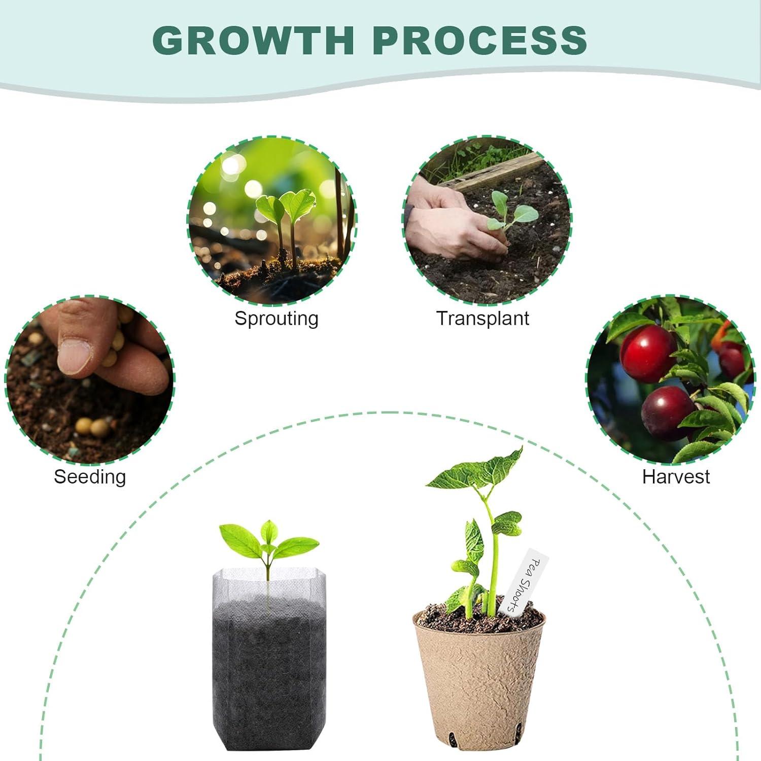 Kit de Inicio de Semillas Biodegradables VirgoCCY - 103 Piezas