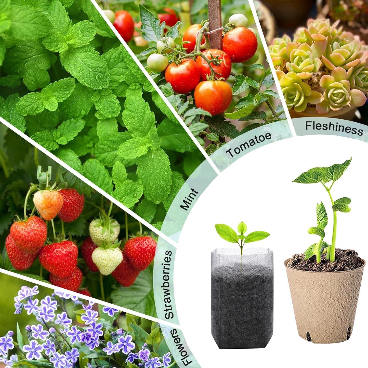 Kit de Inicio de Semillas Biodegradables VirgoCCY - 103 Piezas