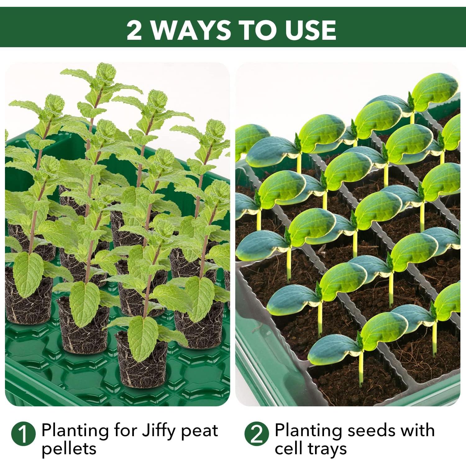 Bandeja de Inicio de Semillas YAUNGEL XL 160 Celdas Verde