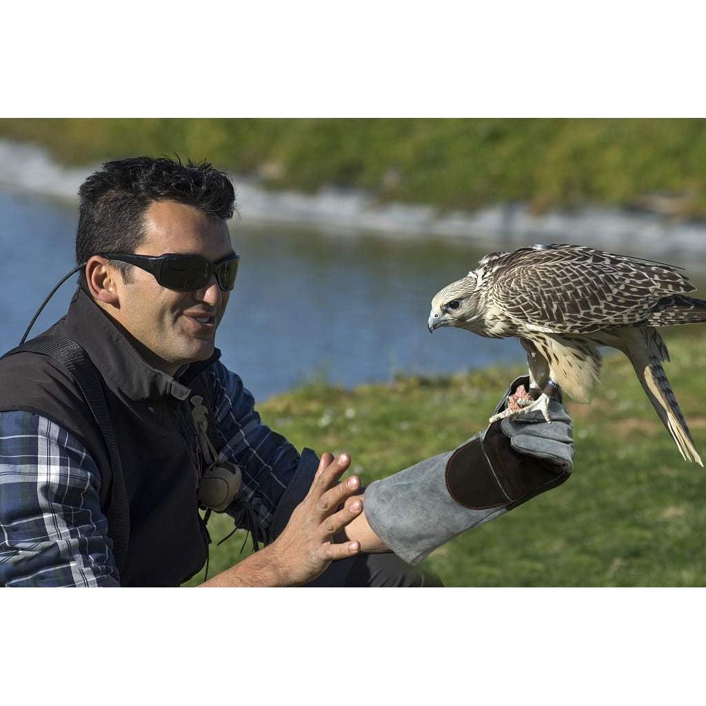 Guantes de Manejo de Animales RAPICCA 16" Cuero Acolchado