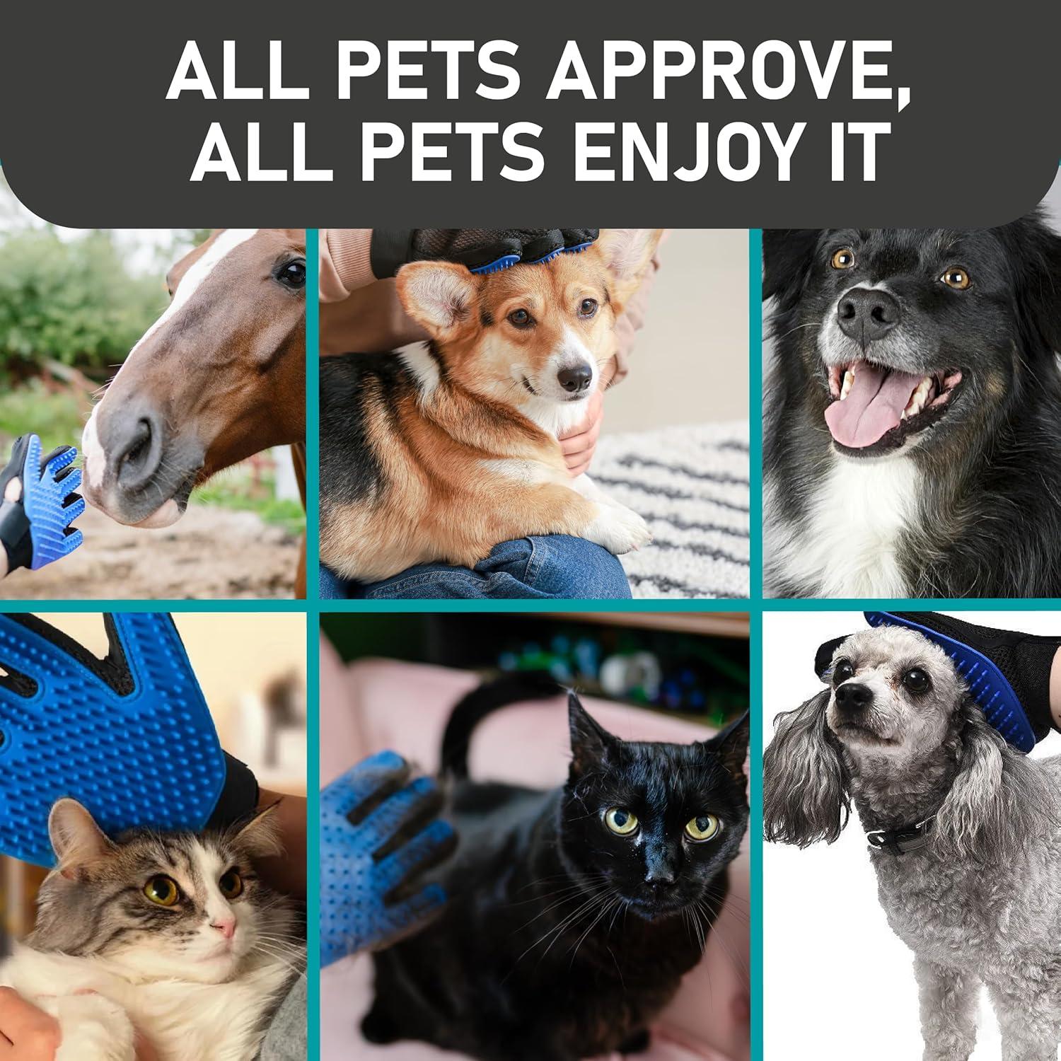 Guantes de Aseo para Mascotas Maxpower Planet Azul - Mitón para Perros y Gatos