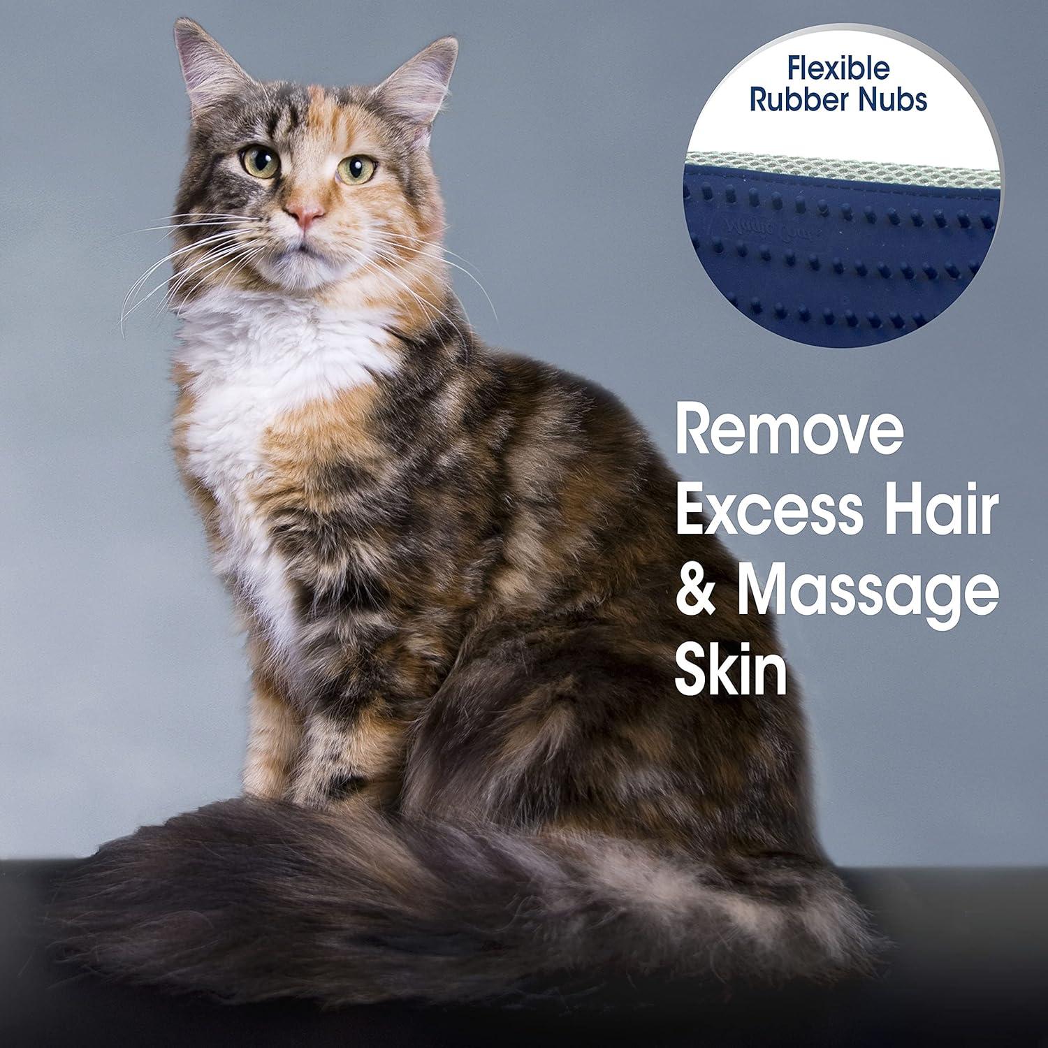 Guante de Aseo para Gatos Love Glove 20.96x14.61cm Azul