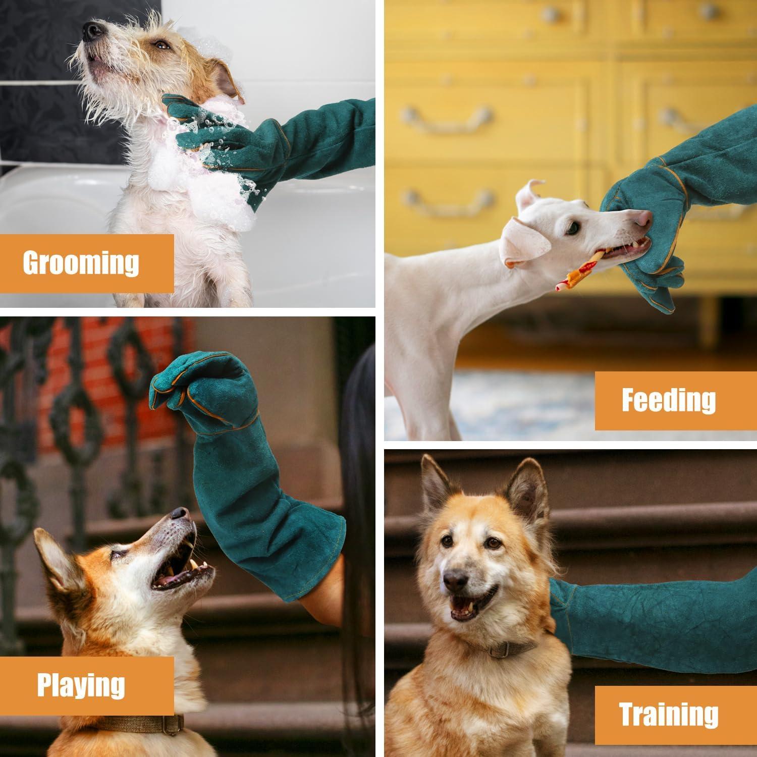 Guantes para Manejo de Animales LURMMUE - Cuero Verde, Resistentes