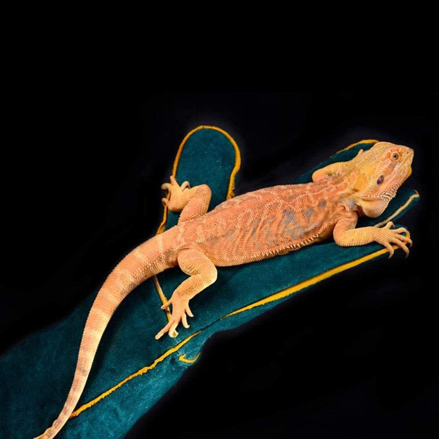 Guantes PeSandy para Manejo de Animales 60cm Resistentes