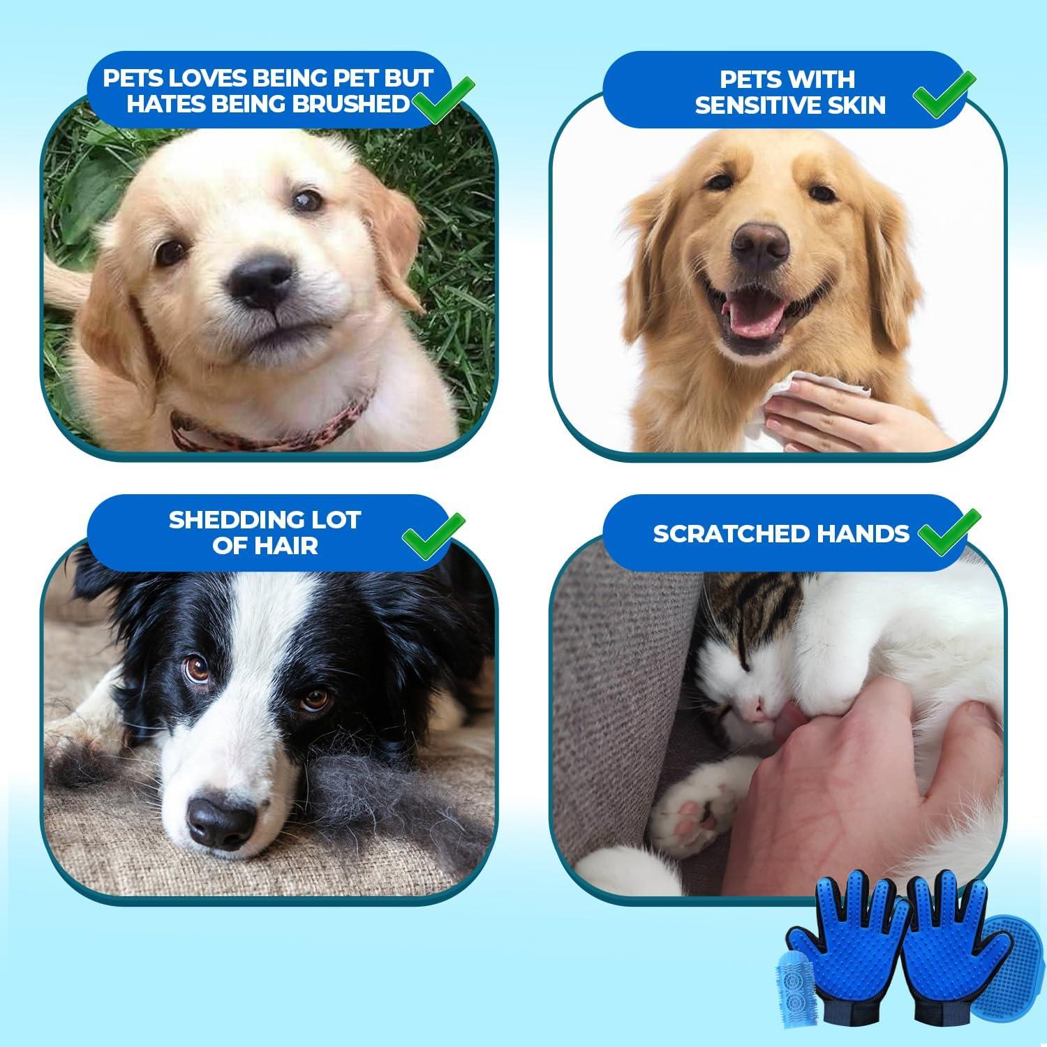 Juego de Guantes de Cuidado para Mascotas 1TO3GO con 185 Puntas